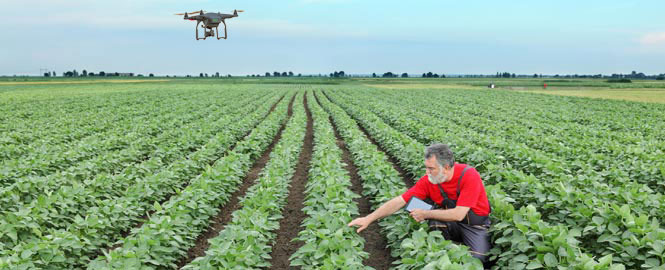 gallery/hg_home_highlight_pic1